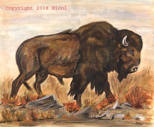 earthmedicine buffalo